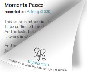 page-fold-242-lyrics-shyrob-moments-peace
