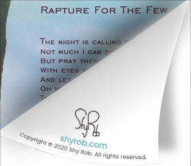 page-fold-242-lyrics-shyrob-rapture-for-the-few