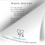 page-fold-242-lyrics-shyrob-walking-after-dark