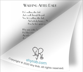 page-fold-242-lyrics-shyrob-walking-after-dark